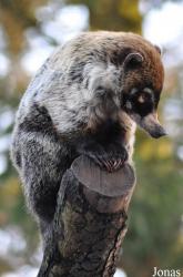 Dierenpark Wissel