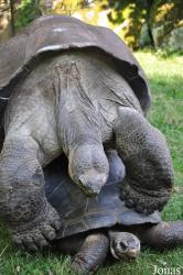 Zoologischer Garten Zürich