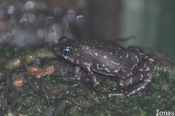 Zoologischer Garten Zürich