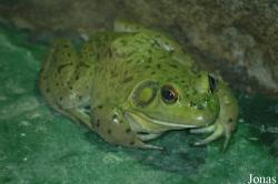 Olmense Zoo