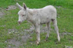 Tierpark Goldau