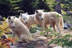 Zoo d'Amnéville