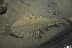 Exploris Aquarium
