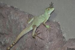 Terrariet Vissenbjerg