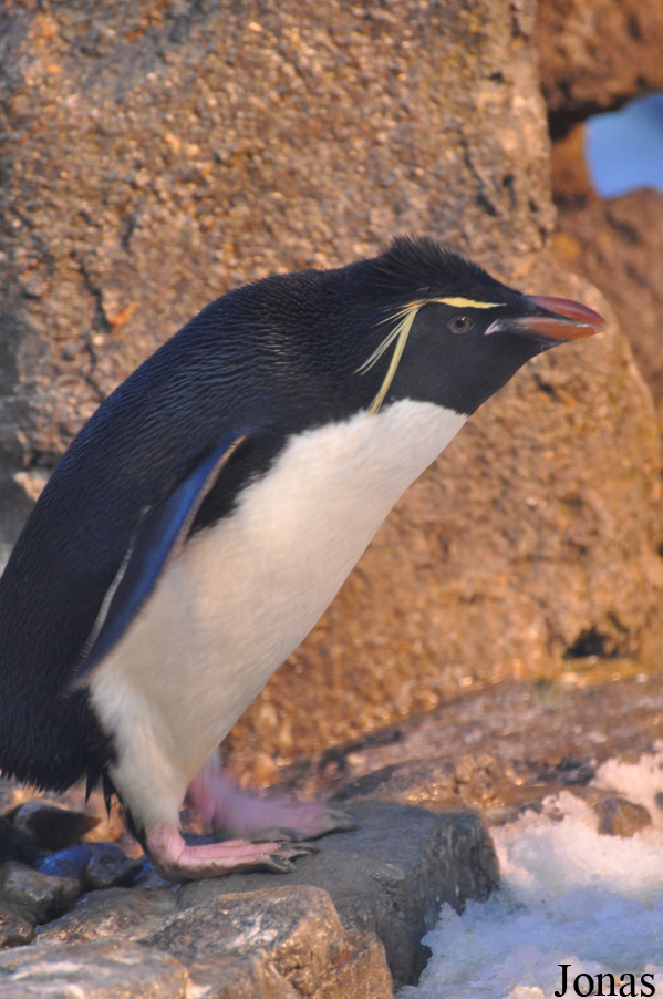 Odense Zoo