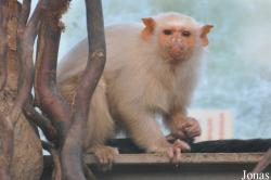 Odsherred Zoo