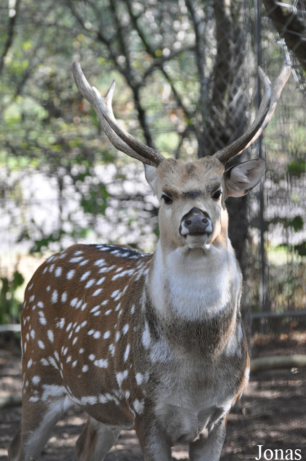 Nykøbing Falster Zoo