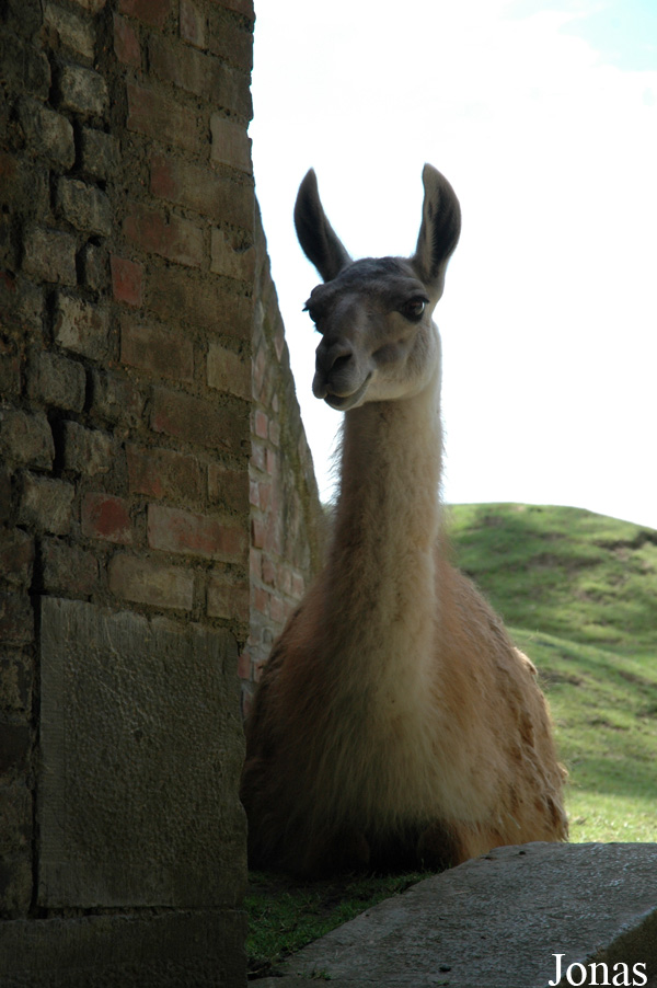 Zoo de Maubeuge