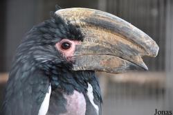 Vogelpark Niendorf