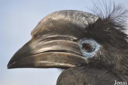 Vogelpark Niendorf