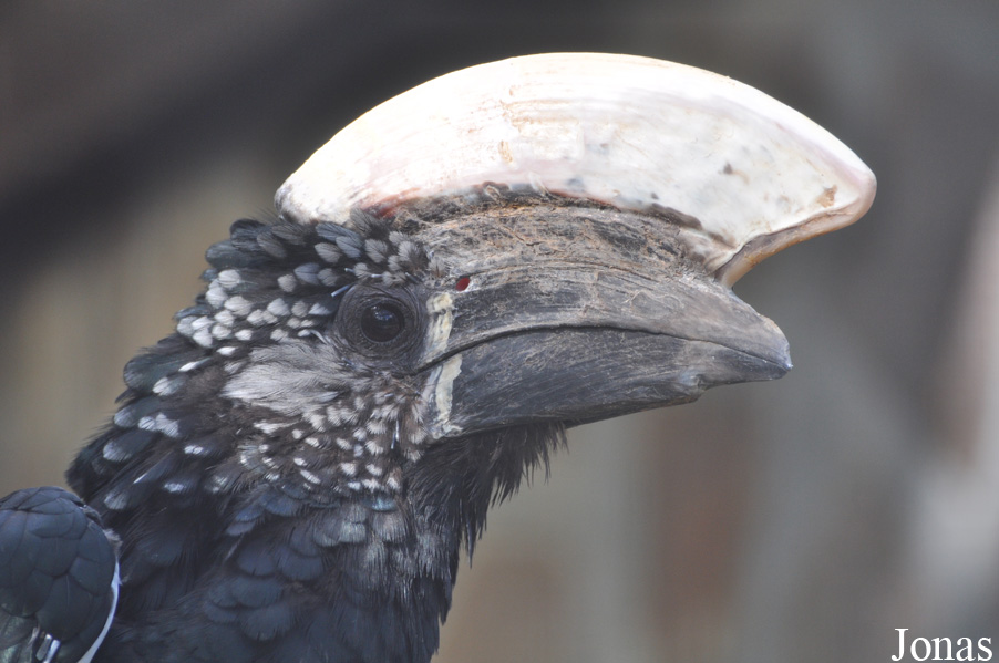 Vogelpark Niendorf