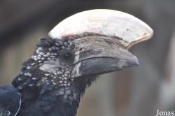 Vogelpark Niendorf