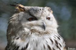 Vogelpark Niendorf