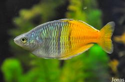 Aqua Zoo Leerdam