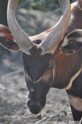 Ouwehands Dierenpark Rhenen