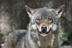 Tierpark Nordhorn