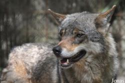 Tierpark Nordhorn