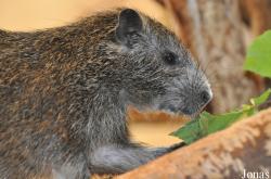 NaturZoo Rheine