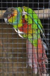 Tierpark Herford