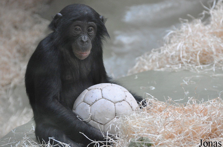 Kölner Zoo