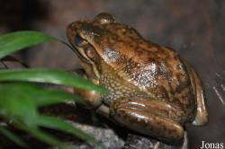 Serpentarium Blankenberge