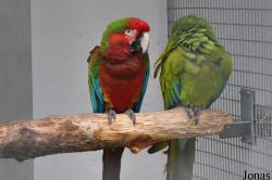 Vogelparadies Birka