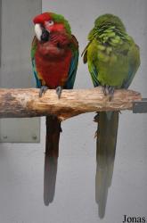 Vogelparadies Birka