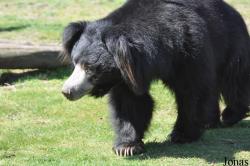 Safaripark Beekse Bergen