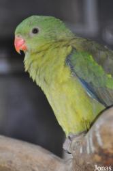 Dierenpark De Oliemeulen