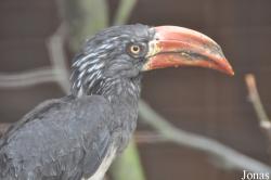 Vogelpark Heiligenkirchen