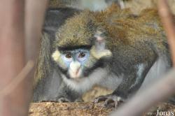 Zoo Osnabrück