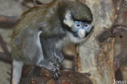 Zoo Osnabrück