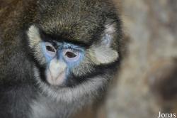 Zoo Osnabrück