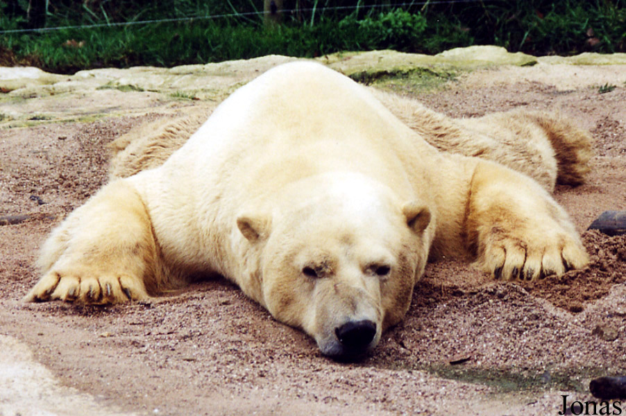 Zoo d'Amnéville