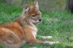 Zoo Osnabrück