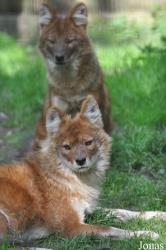 Zoo Osnabrück