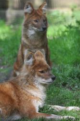 Zoo Osnabrück