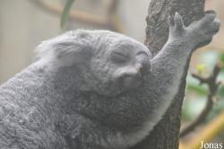 Zoo Duisburg