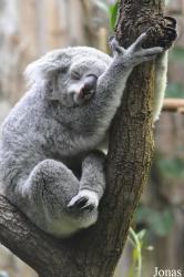 Zoo Duisburg