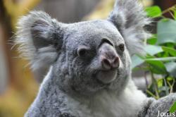 Zoo Duisburg