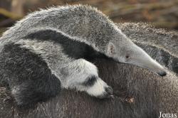 Zoo Duisburg