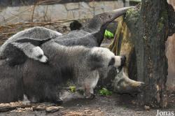 Zoo Duisburg