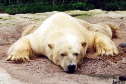 Zoo d'Amnéville