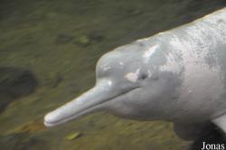Zoo Duisburg