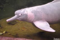 Zoo Duisburg