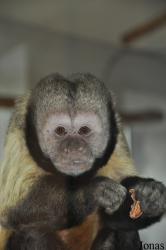 GaiaPark Kerkrade Zoo