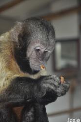 GaiaPark Kerkrade Zoo