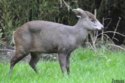 Diergaarde Blijdorp