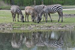 Burgers' Zoo