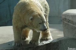 Zoo Karlsruhe